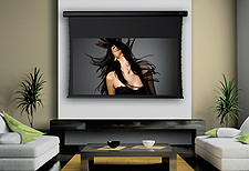 Stewart Filmscreen Projector Screen