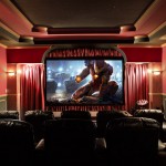 20 Seat Home Theater